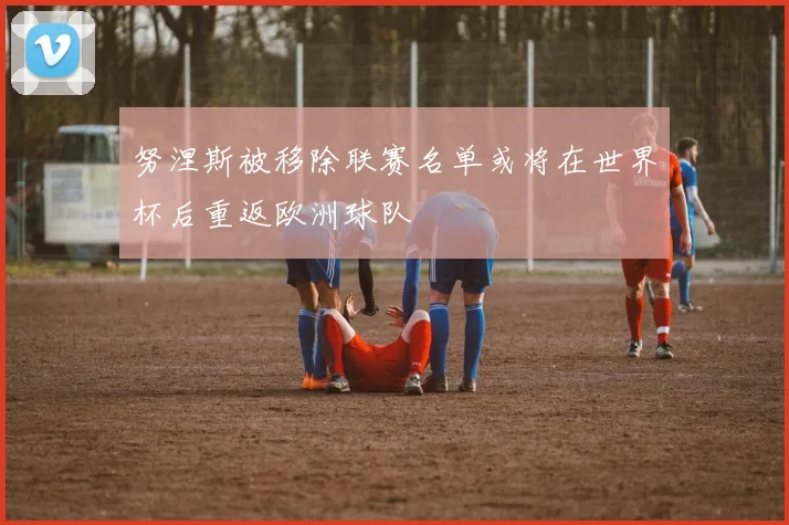 努涅斯被移除联赛名单或将在世界杯后重返欧洲球队