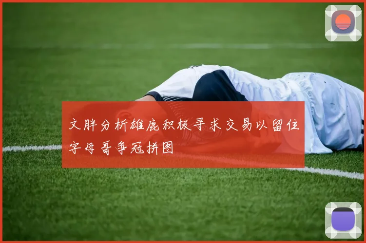 文胖分析雄鹿积极寻求交易以留住字母哥争冠拼图