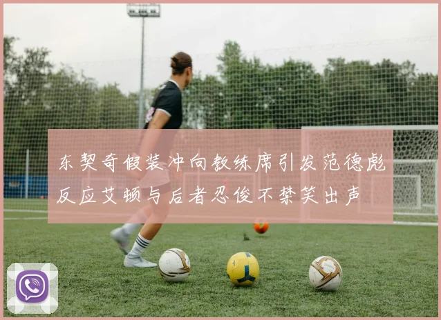 东契奇假装冲向教练席引发范德彪反应艾顿与后者忍俊不禁笑出声
