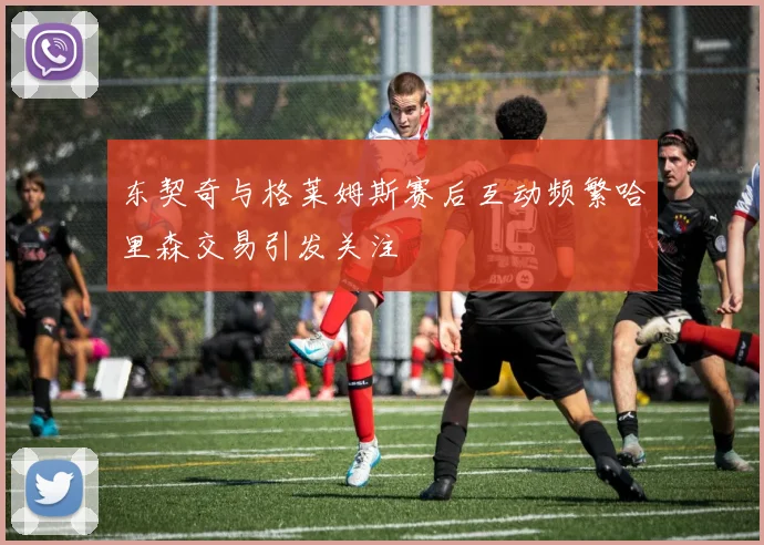 东契奇与格莱姆斯赛后互动频繁哈里森交易引发关注