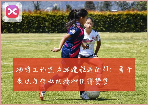 杨鸣工作室力挺遭驱逐的2T：勇于表达与行动的精神值得赞赏