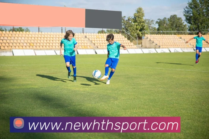 华体会足球平台生态图